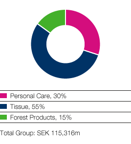 Net sales (share of Group) (pie chart)