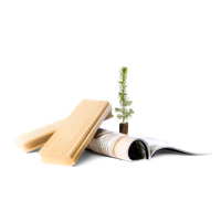 Forest Products (photo)