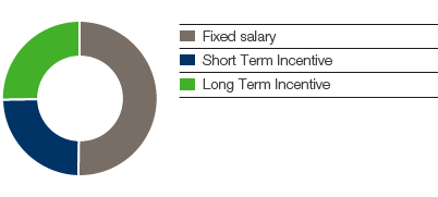 Possible maximum remuneration, composition (pie chart)