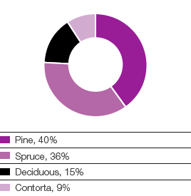 Forest portfolio (pie chart)