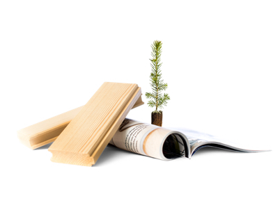 Forest products (photo)