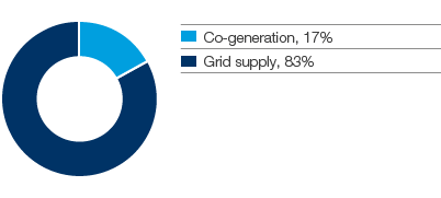 Distribution of electricity supply (pie chart)