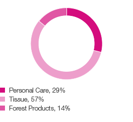 Net sales 2016 (pie chart)