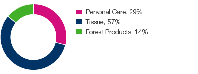 Net sales, share of Group (pie chart)