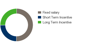 Possible maximum remuneration, composition (pie chart)