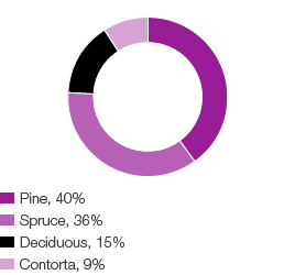 Forest portfolio (pie chart)