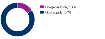 Distribution of electricity supply (pie chart)